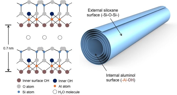 Chemical and physical structure of halloysite clay nanotubes