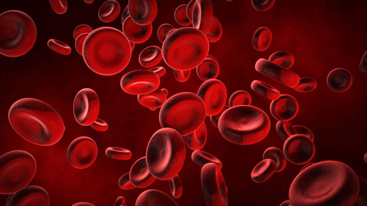 Microplastics in Human Blood - Phantom Plastics