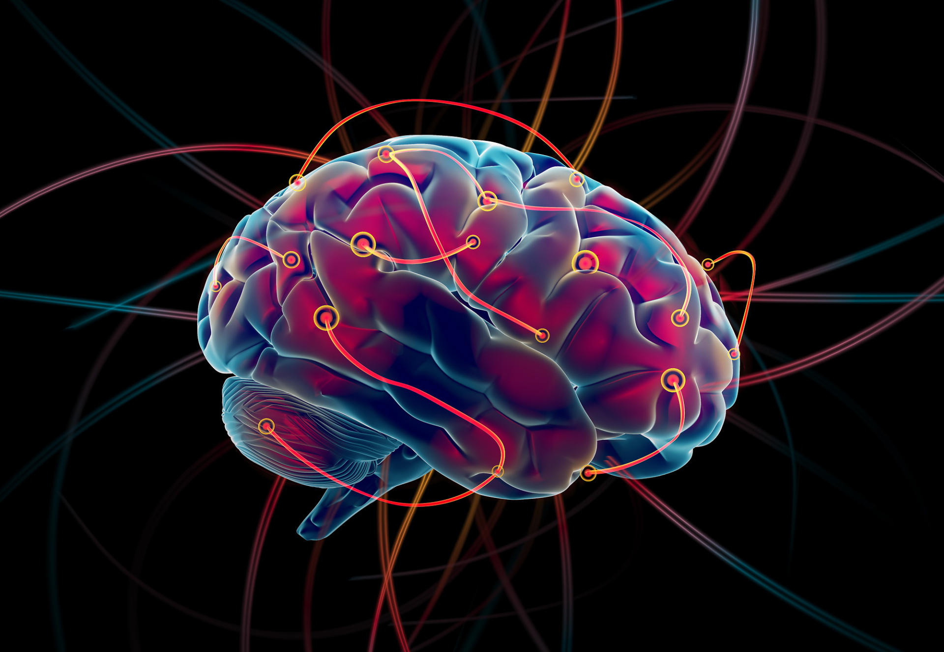 Microplastics in the Brain | Particles in the Brain